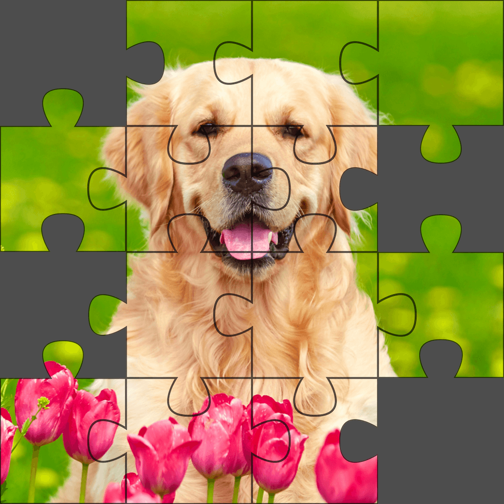 JigsawPuzzlesHexa icon